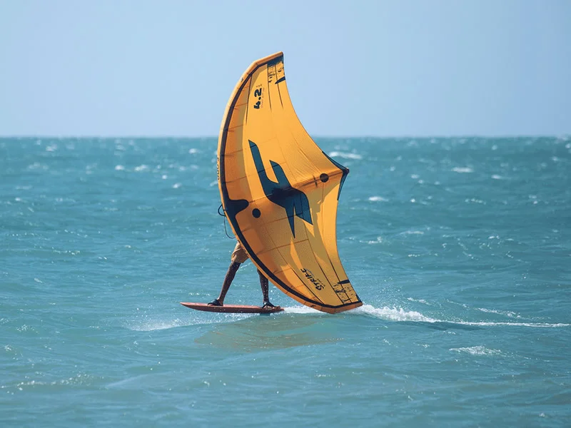 School - Atlantic Kite